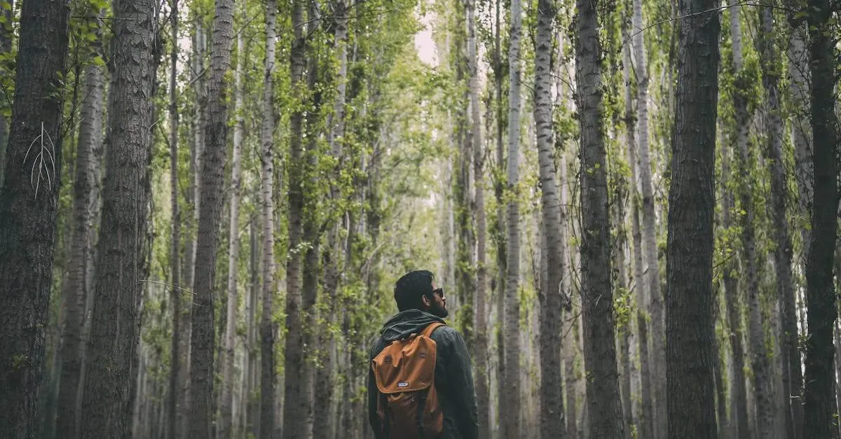 A man with a backpack explores a lush green forest, surrounded by tall trees.