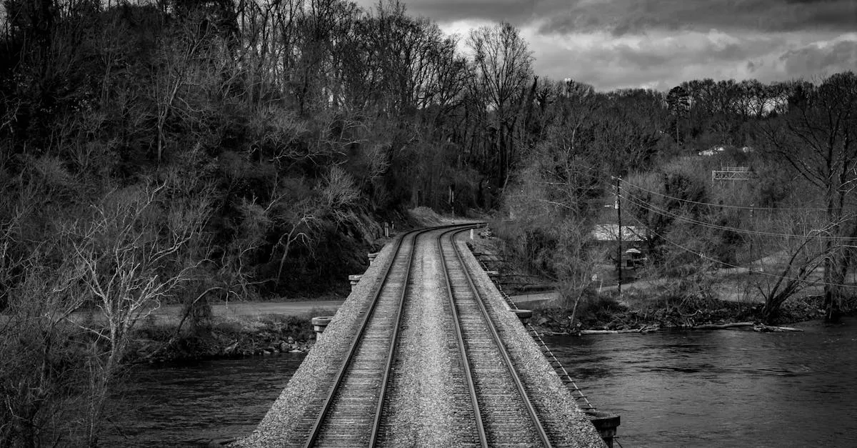 A tranquil black and white view of a railway bridge in Asheville, NC, surrounded by nature.