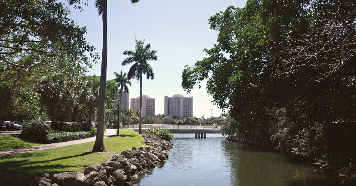 Tranquil university campus view with palm trees and water in Coral Gables, Florida.