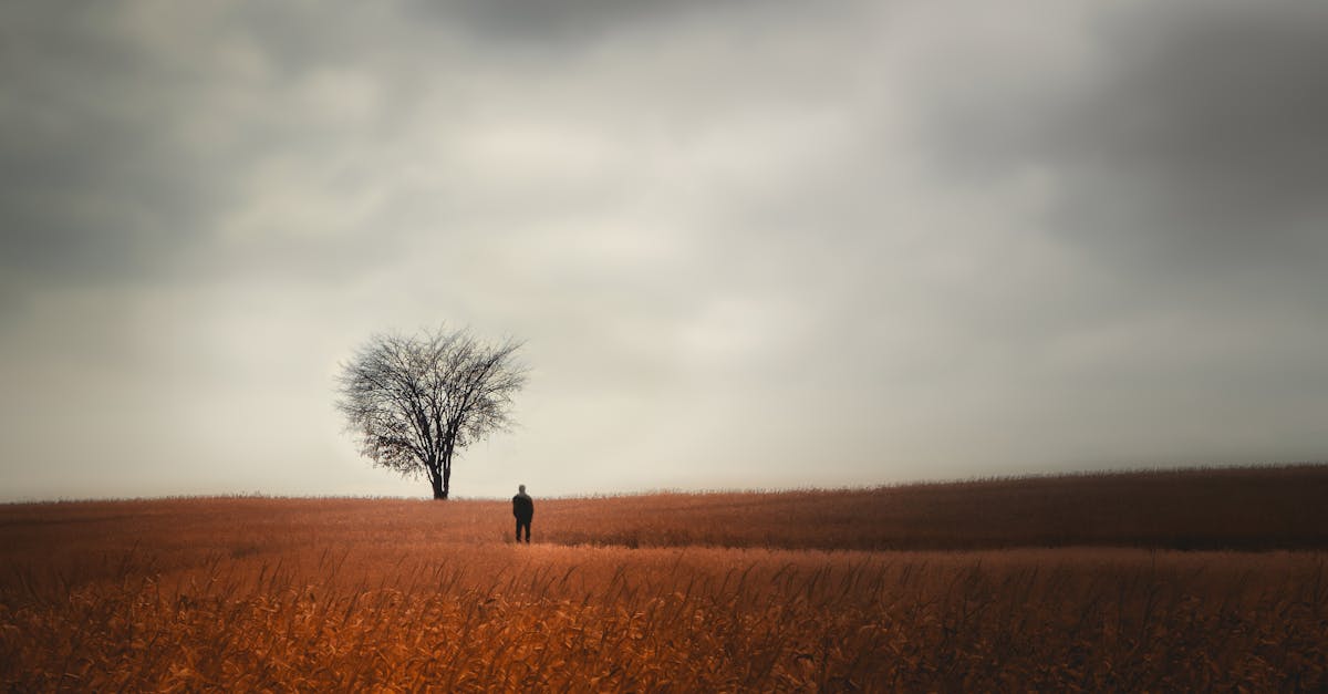 A solitary figure walks through a brown field under a cloudy sky, evoking peace and solitude.