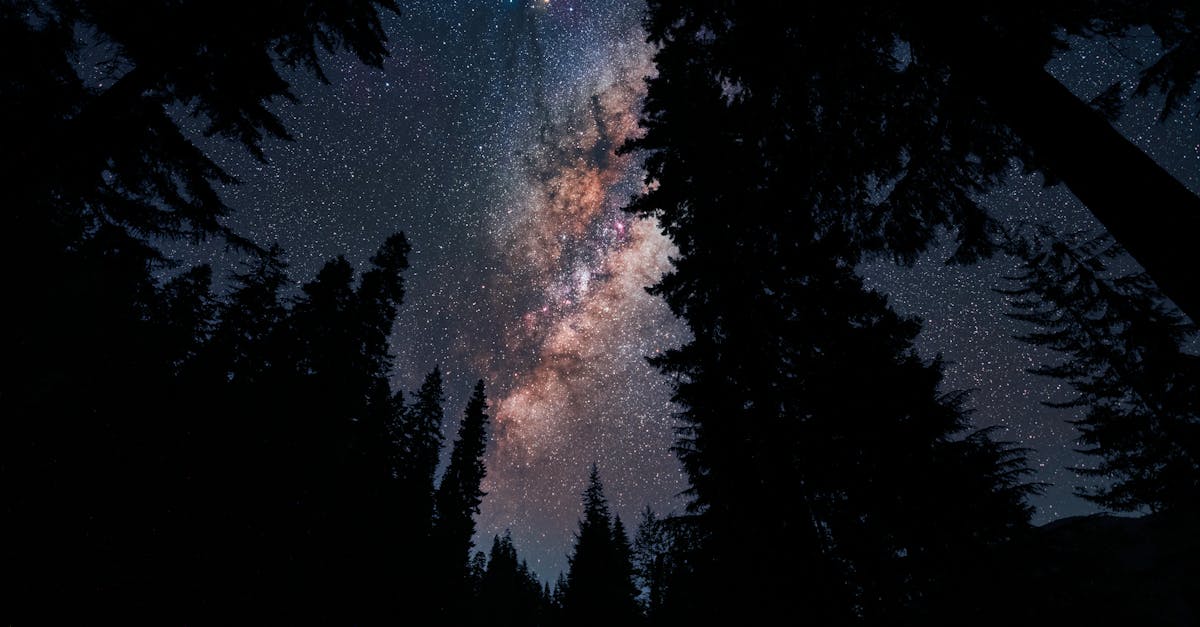A captivating view of the Milky Way galaxy framed by silhouetted trees on a clear night in Washington.