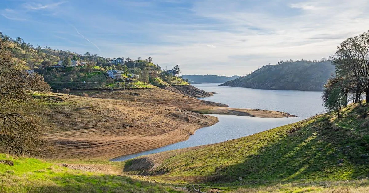 Serene landscape of Millerton Lake with clear skies and rolling hills in California.