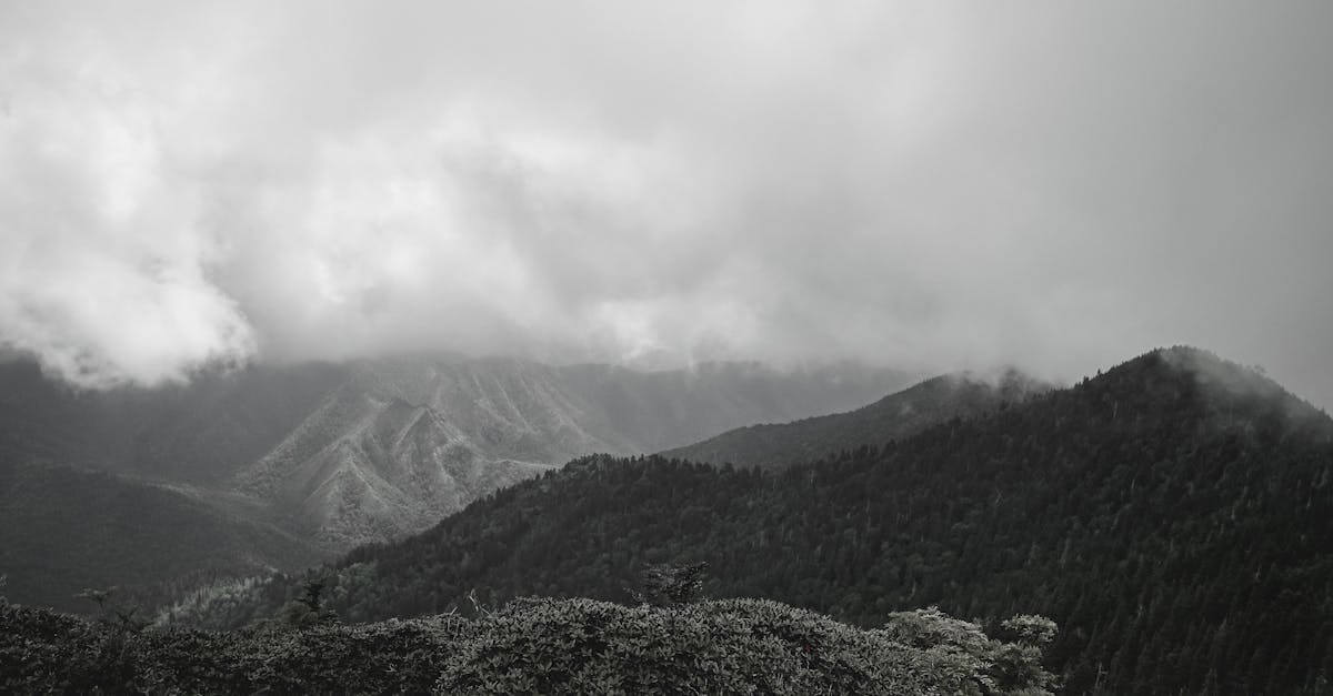 Foggy mountain view in Tennessee capturing the serene natural landscape and misty atmosphere.