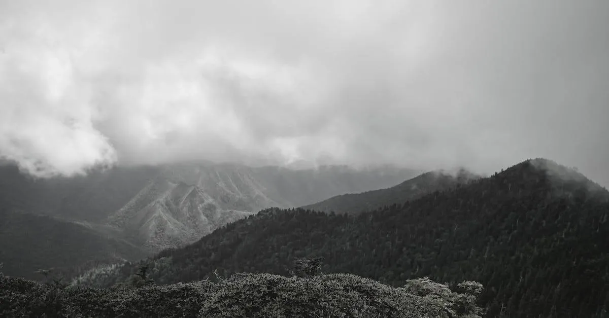 Foggy mountain view in Tennessee capturing the serene natural landscape and misty atmosphere.
