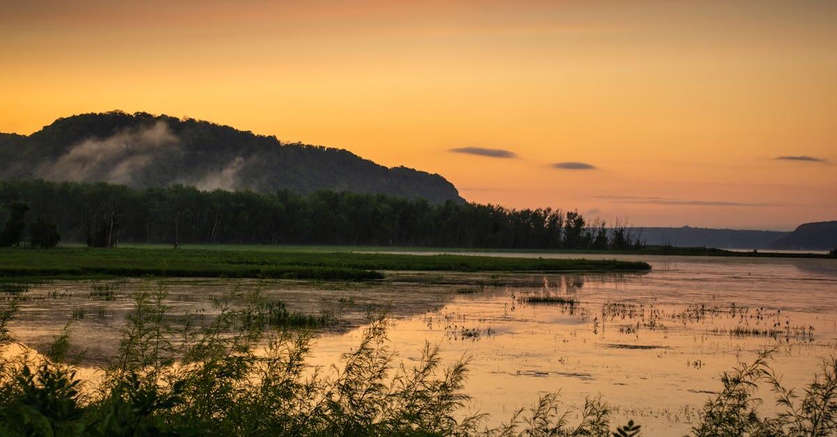 Stunning sunset view over Bay City wetlands with lush greenery and tranquil water reflecting the colorful sky.
