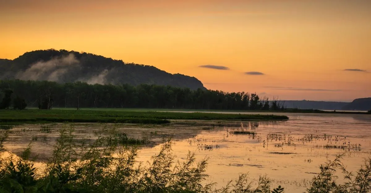 Stunning sunset view over Bay City wetlands with lush greenery and tranquil water reflecting the colorful sky.