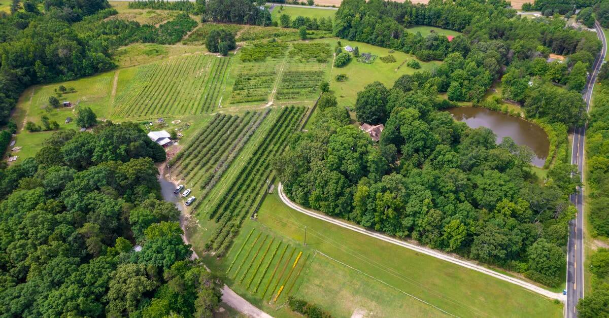 Explore a scenic aerial view of farmland and forest in North Carolina, showcasing nature's vibrant greenery.