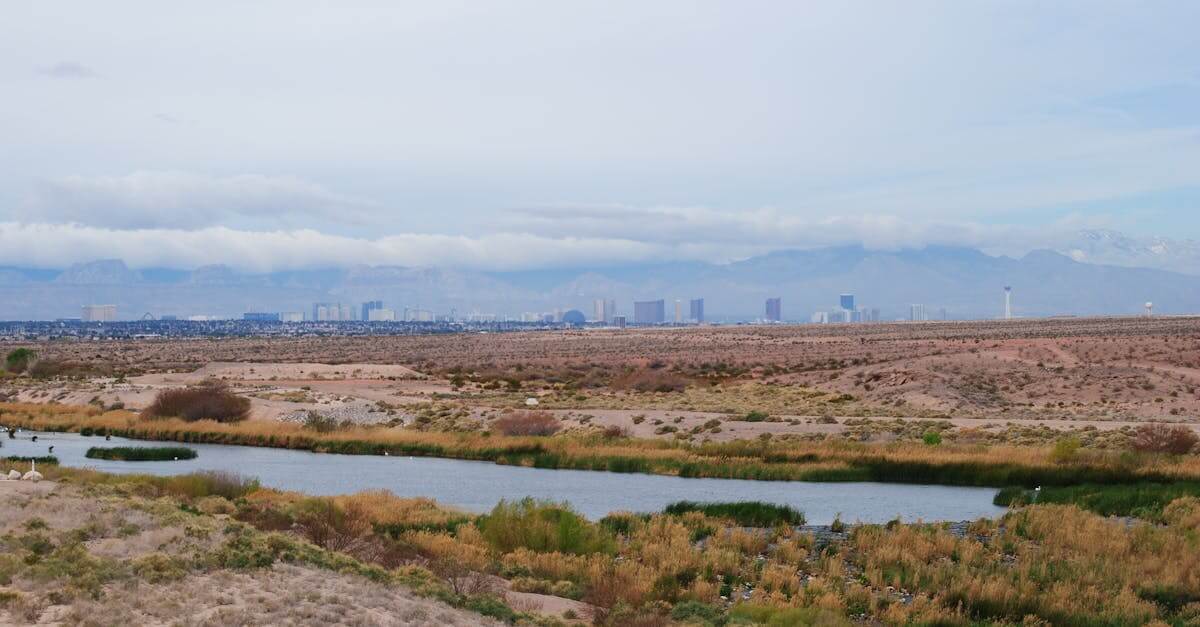 Scenic desert landscape with skyline view in Henderson, NV, USA, featuring desert flora and clouds.