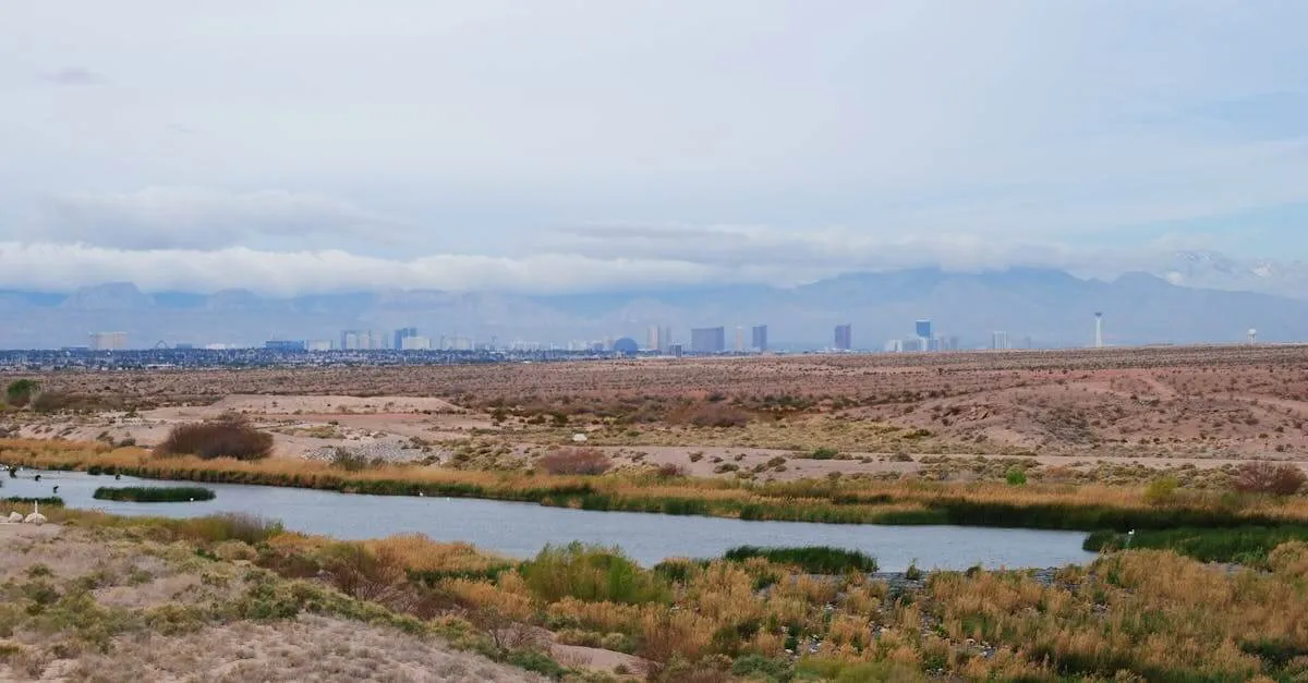 Scenic desert landscape with skyline view in Henderson, NV, USA, featuring desert flora and clouds.