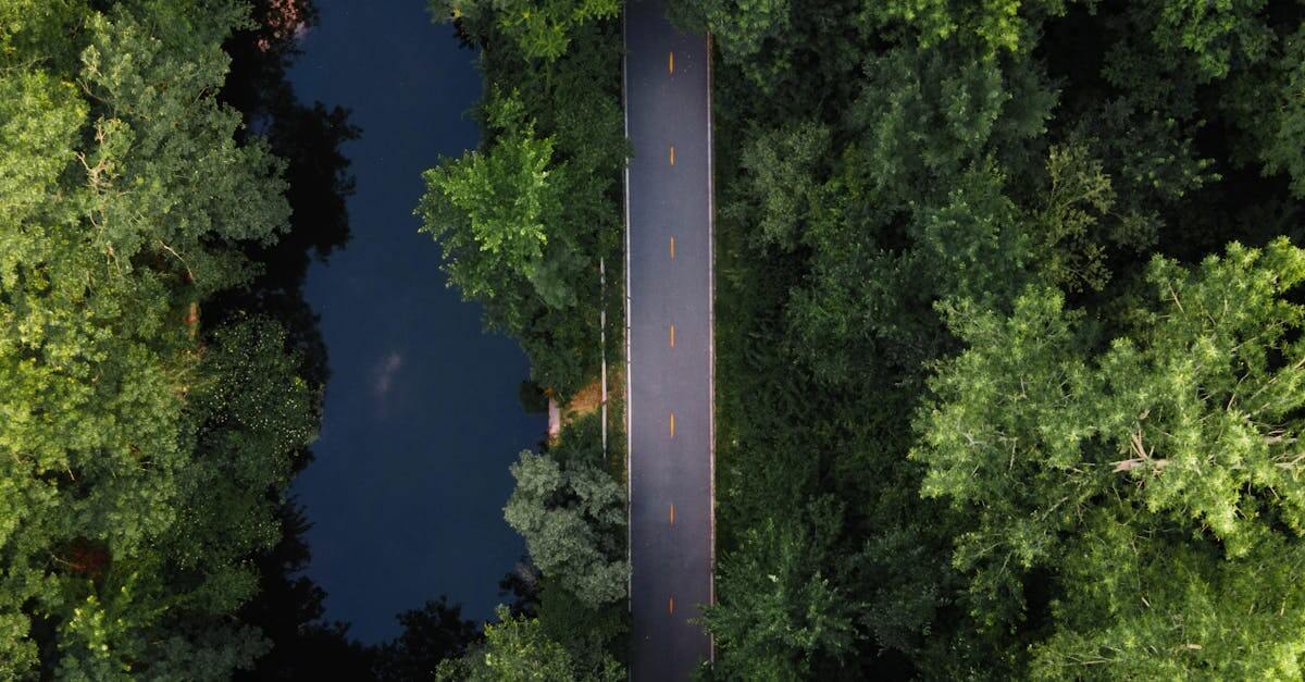 Breathtaking aerial shot of a road cutting through dense green forest in Pawtucket, RI.