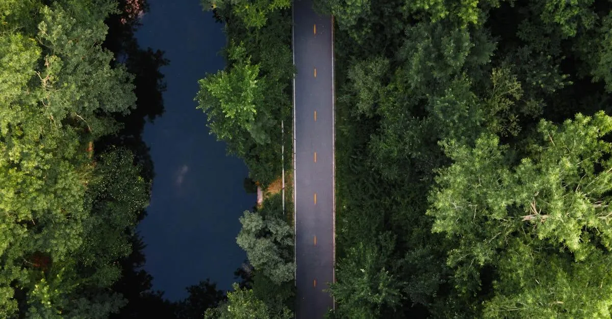 Breathtaking aerial shot of a road cutting through dense green forest in Pawtucket, RI.