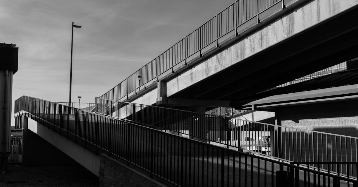 Monochrome capture of an urban bridge with concrete ramps and railings.