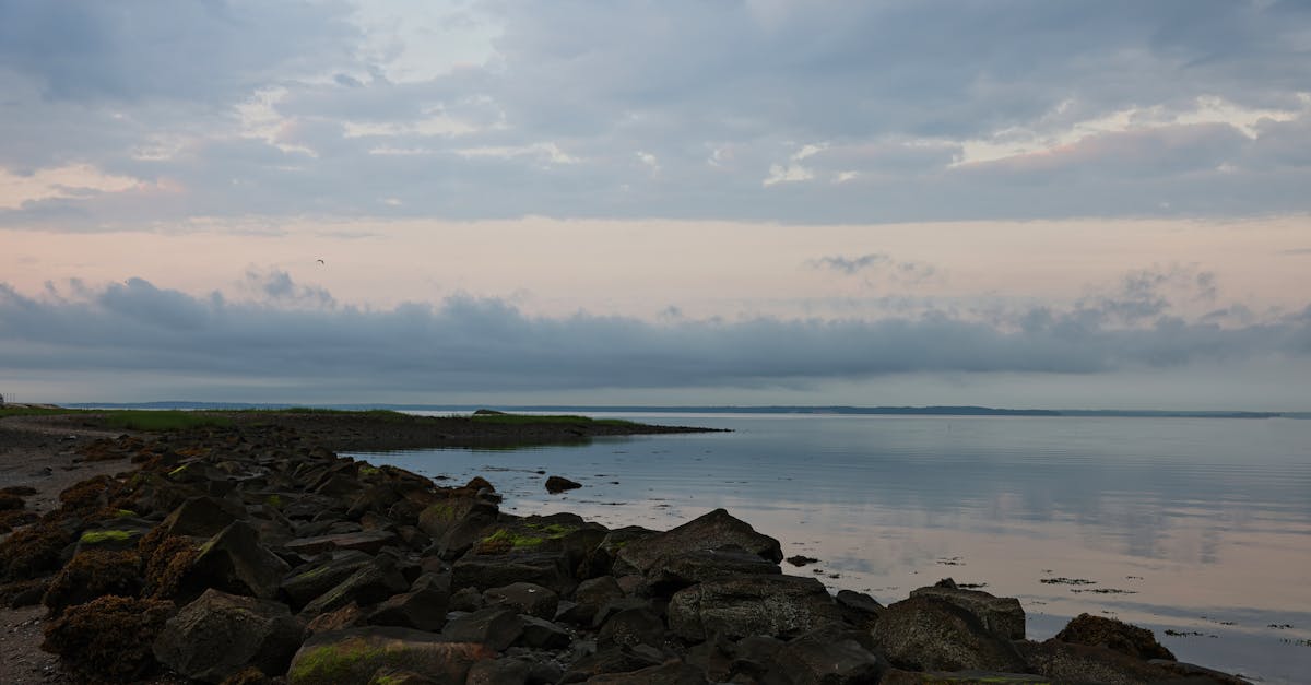 Peaceful view of Stamford coastline at dawn with cloudy sky and rocky shoreline.