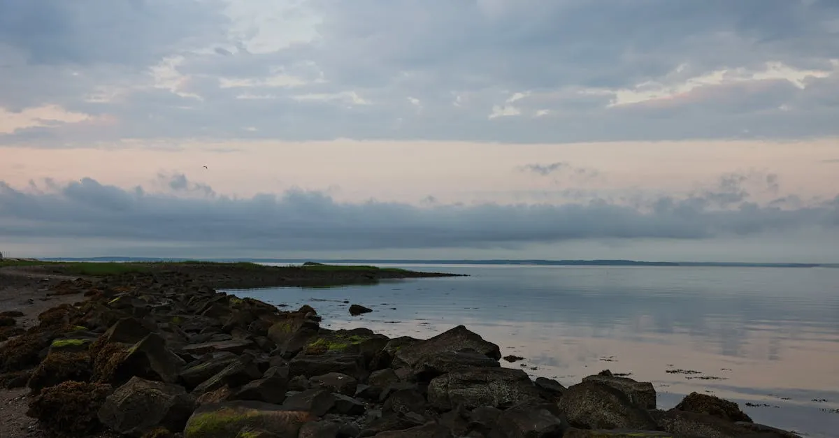 Peaceful view of Stamford coastline at dawn with cloudy sky and rocky shoreline.