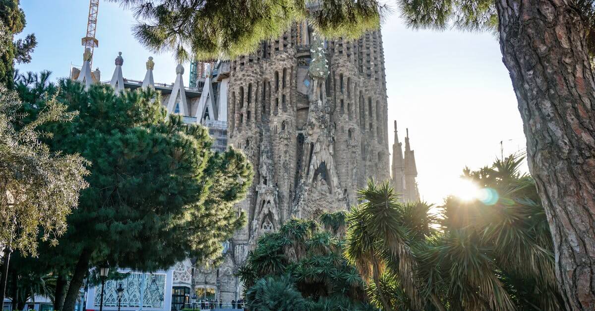 A picturesque view of Sagrada Familia with surrounding trees in Barcelona, Spain.