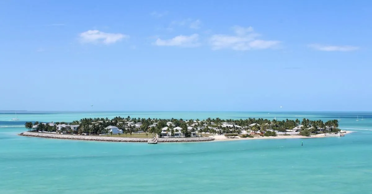 Scenic aerial shot of Key West's lush islands against a clear blue sky and sea.