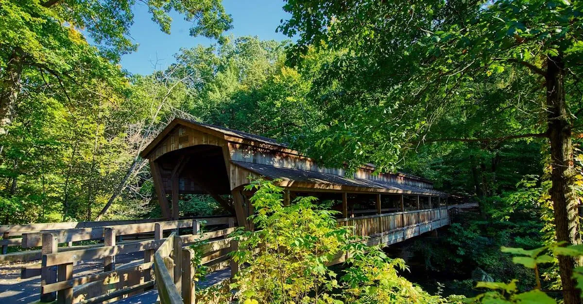 Beautiful wooden covered bridge in a vibrant summer forest in Youngstown, Ohio, showcasing natural rustic charm.